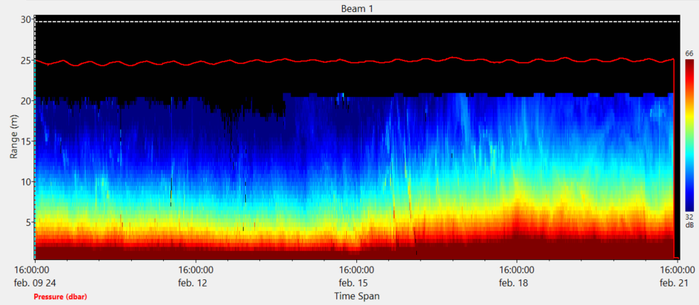 AWAC 1 M Hz Amplitude with QC