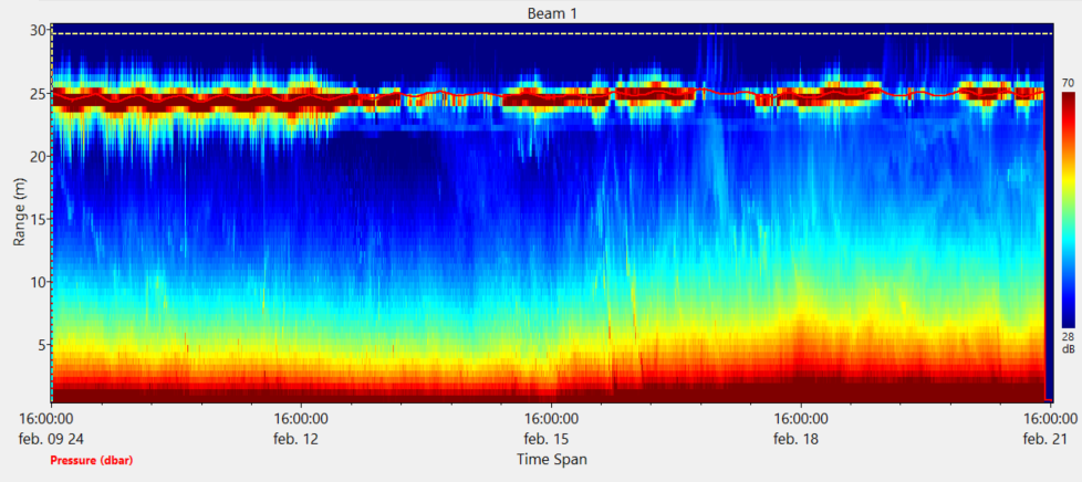 AWAC 1 M Hz Amplitude without QC