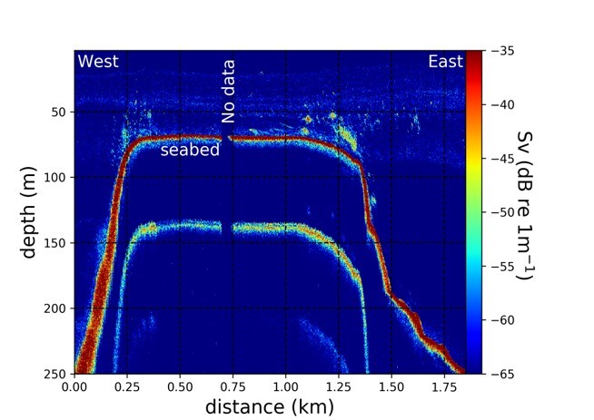 Acoustic backscatter transect over seamount showing aggregations over flanks