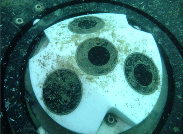 Biofouling adcp 05b