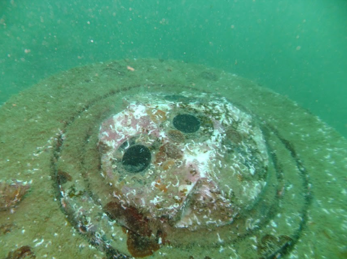 Biofouling adcp 08b