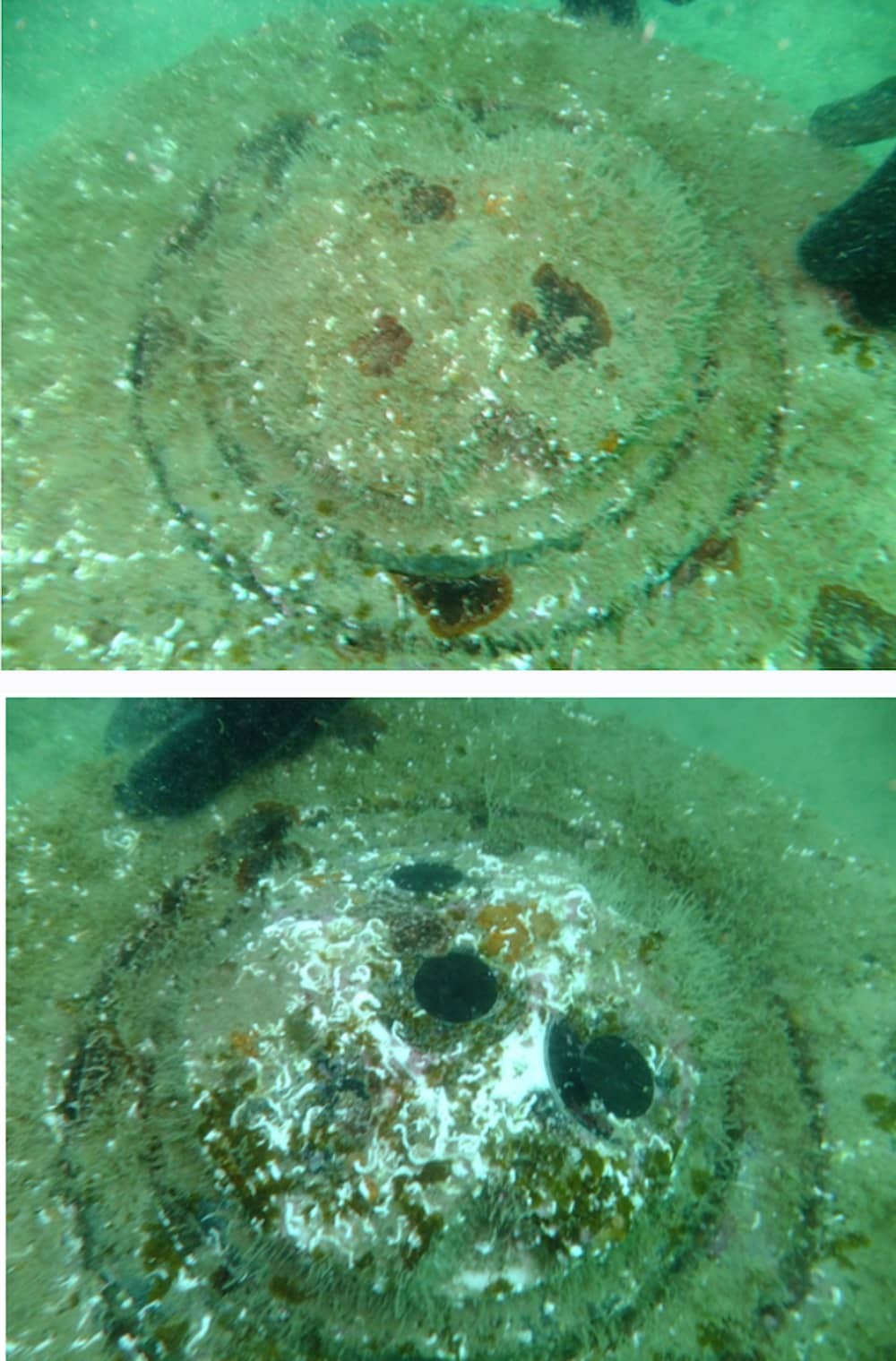 Biofouling adcp 09