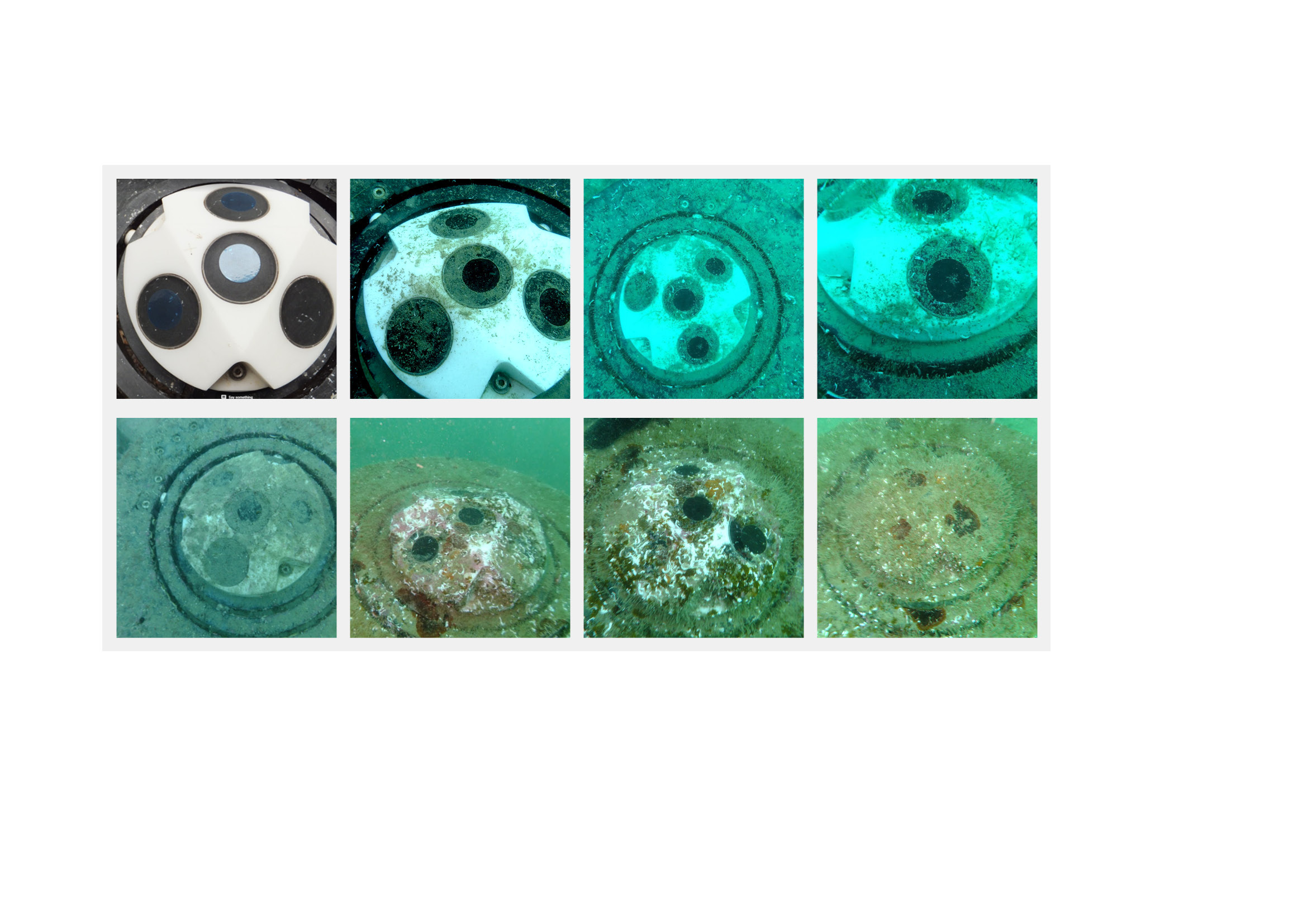 Biofouling gradual development on ADCP