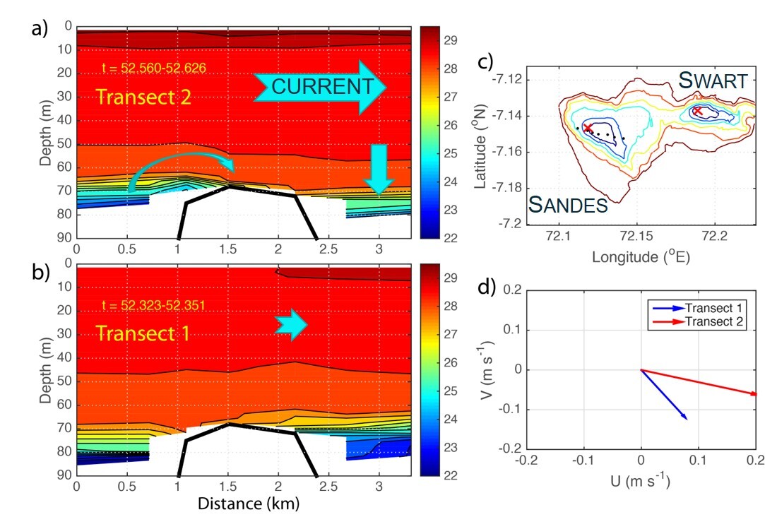 CTD transects over seamount showing flushing of summit with cold water Transects taken at six hour intervals