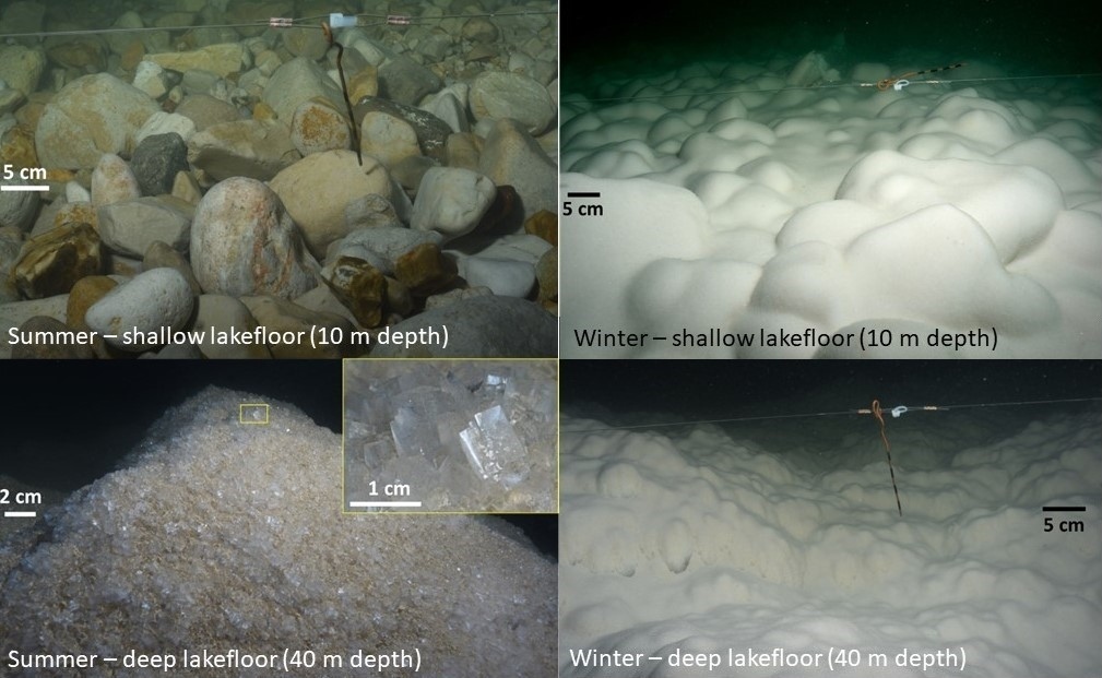 Dynamic of salt deposition