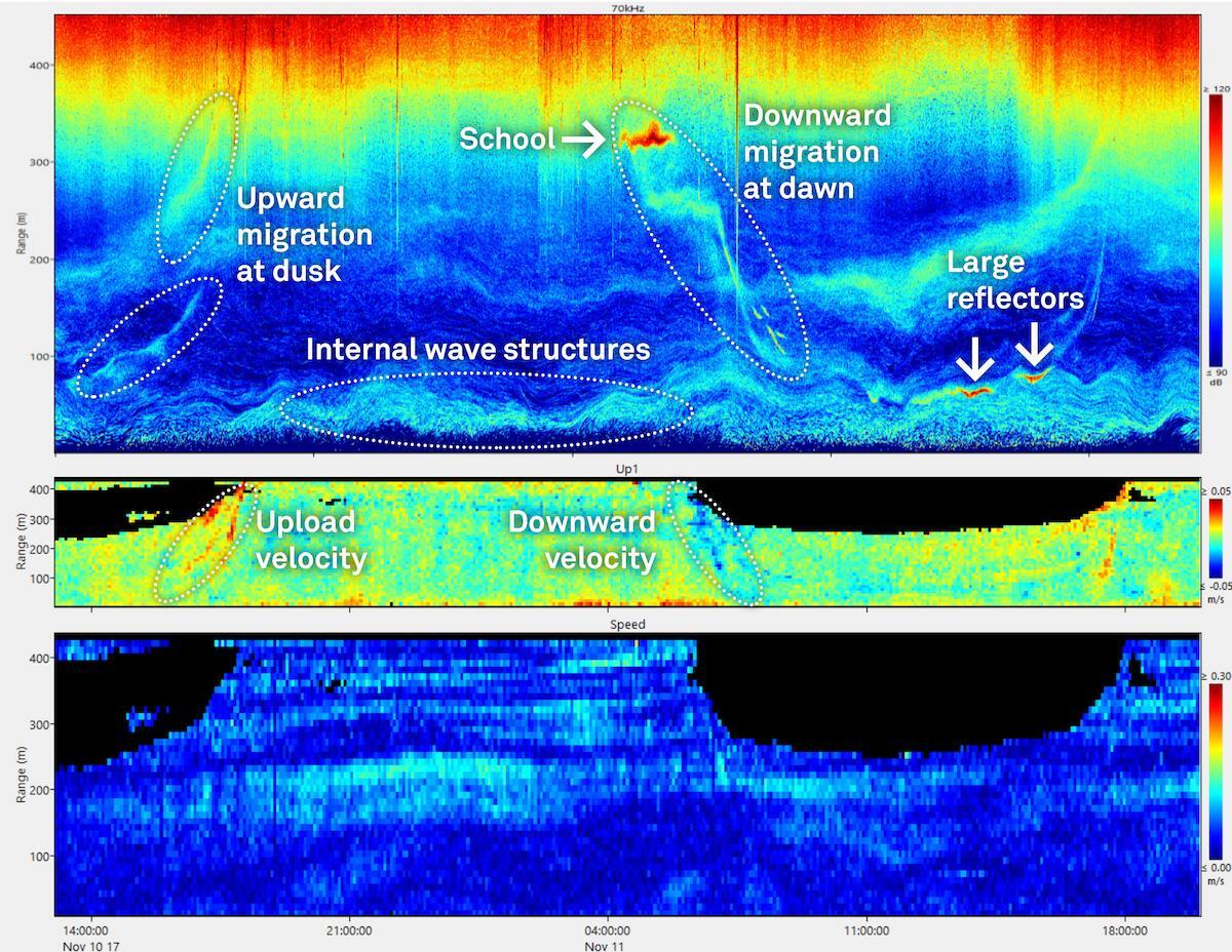 Echogram And Current Data