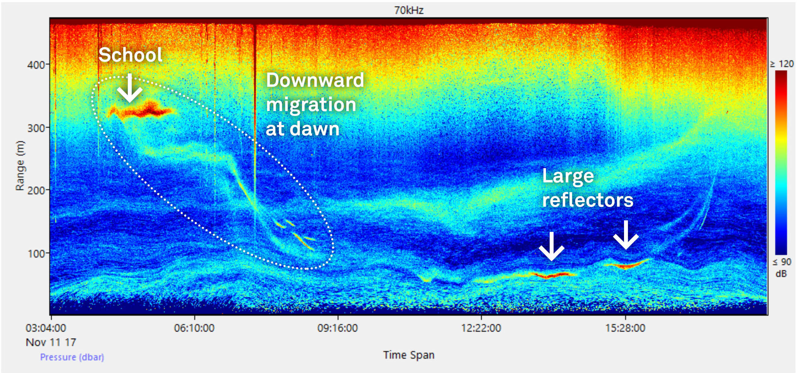 Echogram Plankton Diving