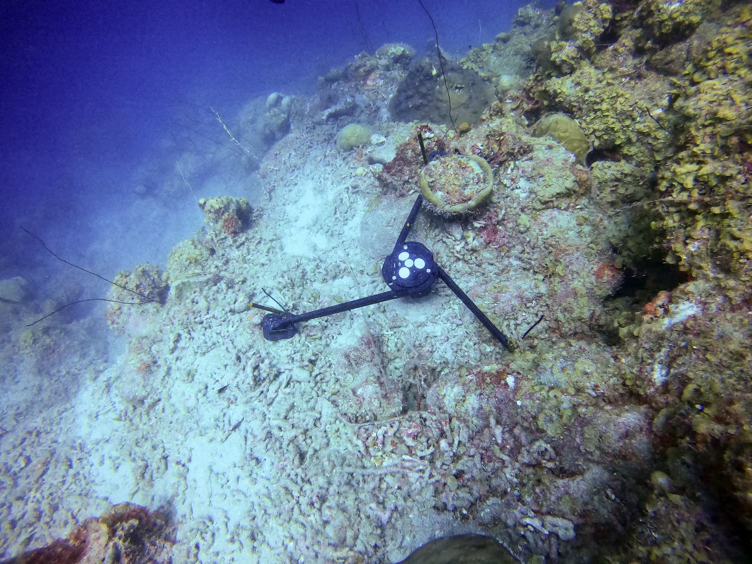 Eco Current Profiler under water
