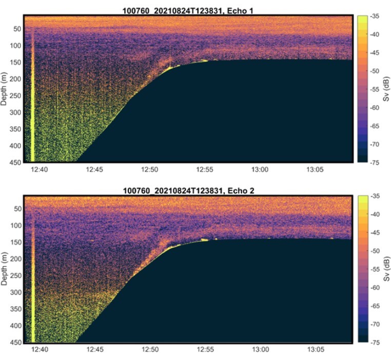 Figure 4 echo 1 with transmit length of 05 ms