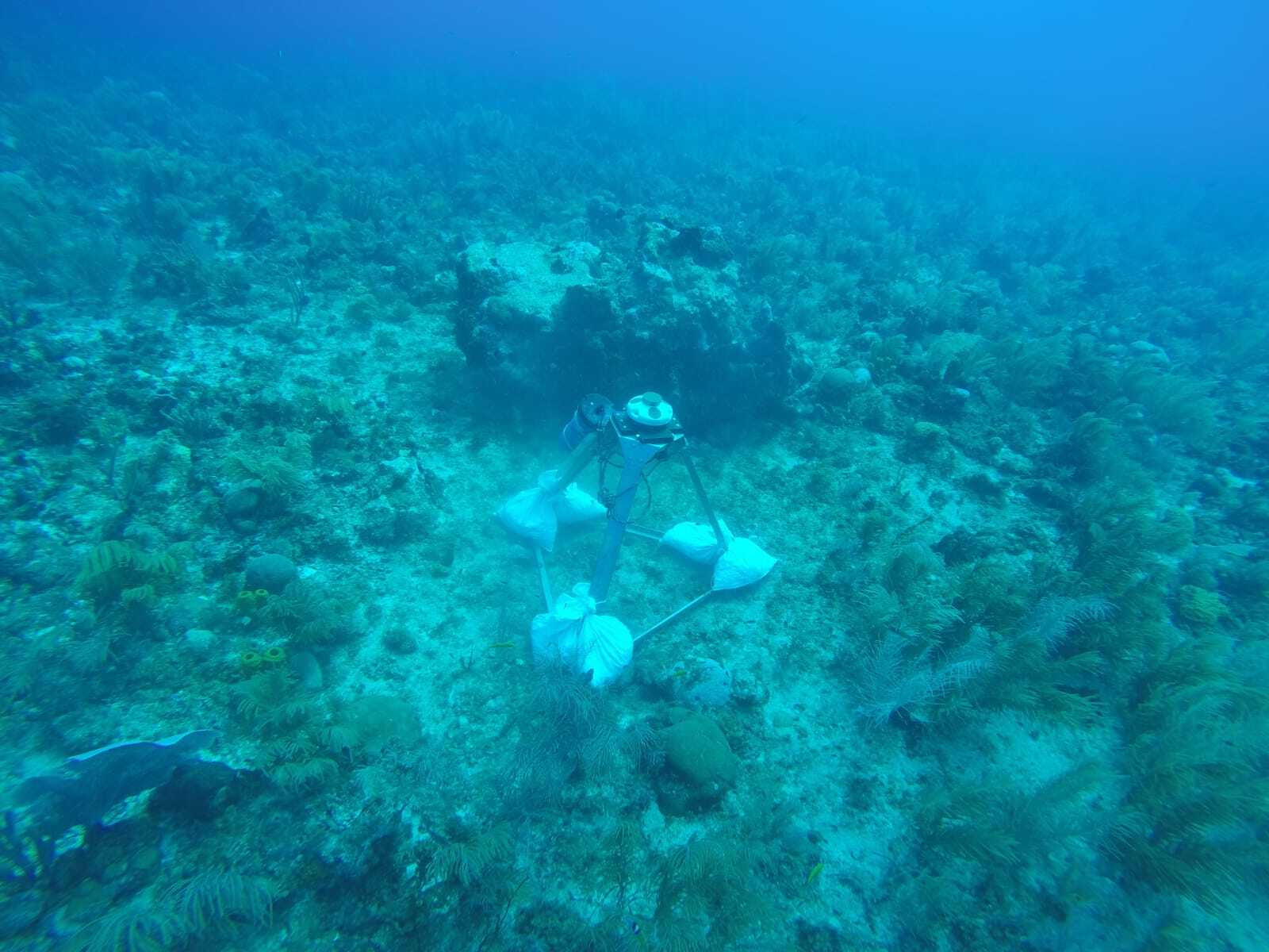 Biophysical features such as coral reefs can alter hydrodynamic processes, so collecting data from these features is important for accurate modeling.