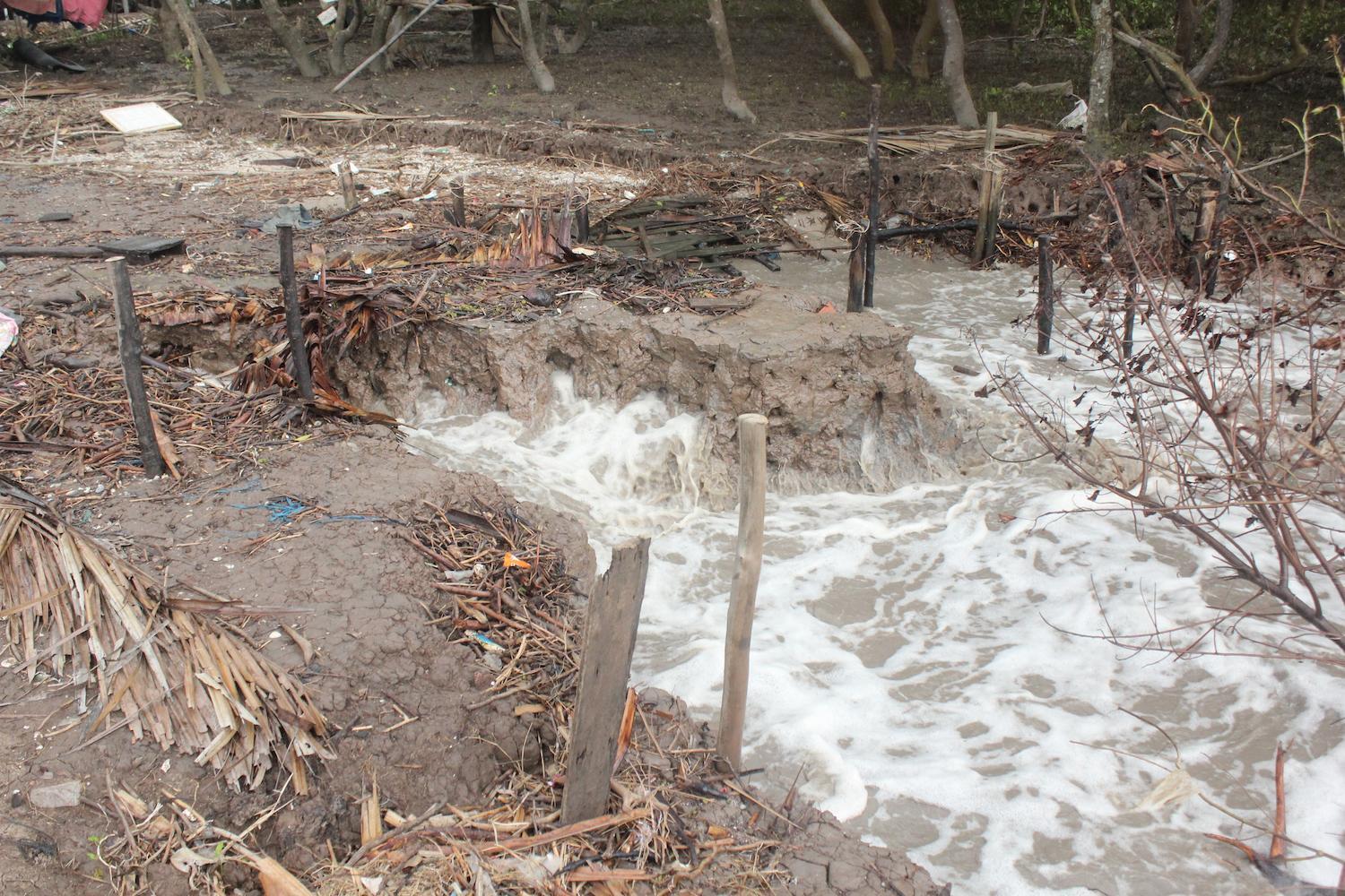 Mekong Delta erosion research 1