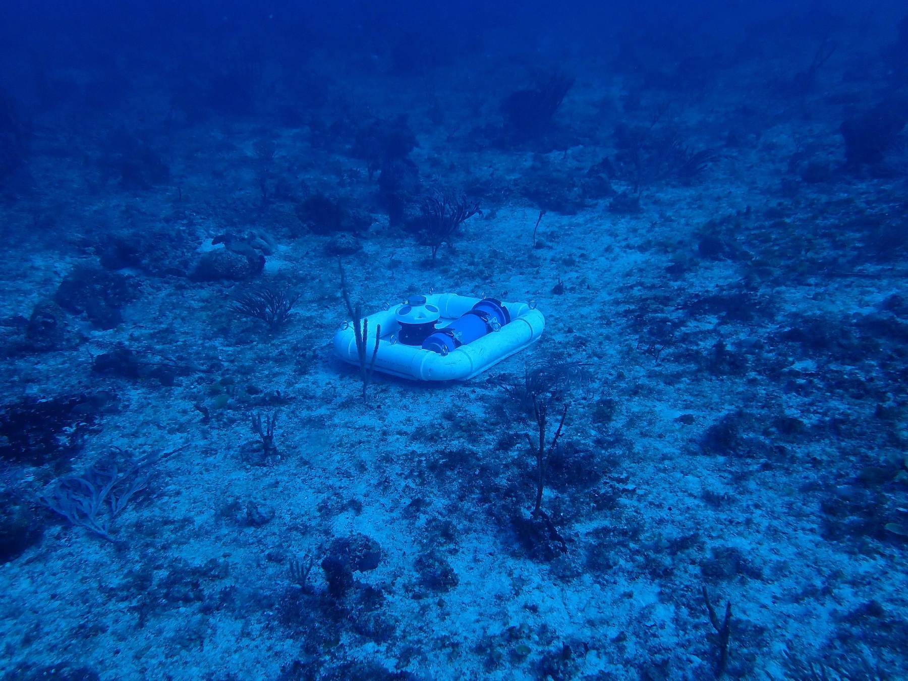 Nortek instrument deployed under the water