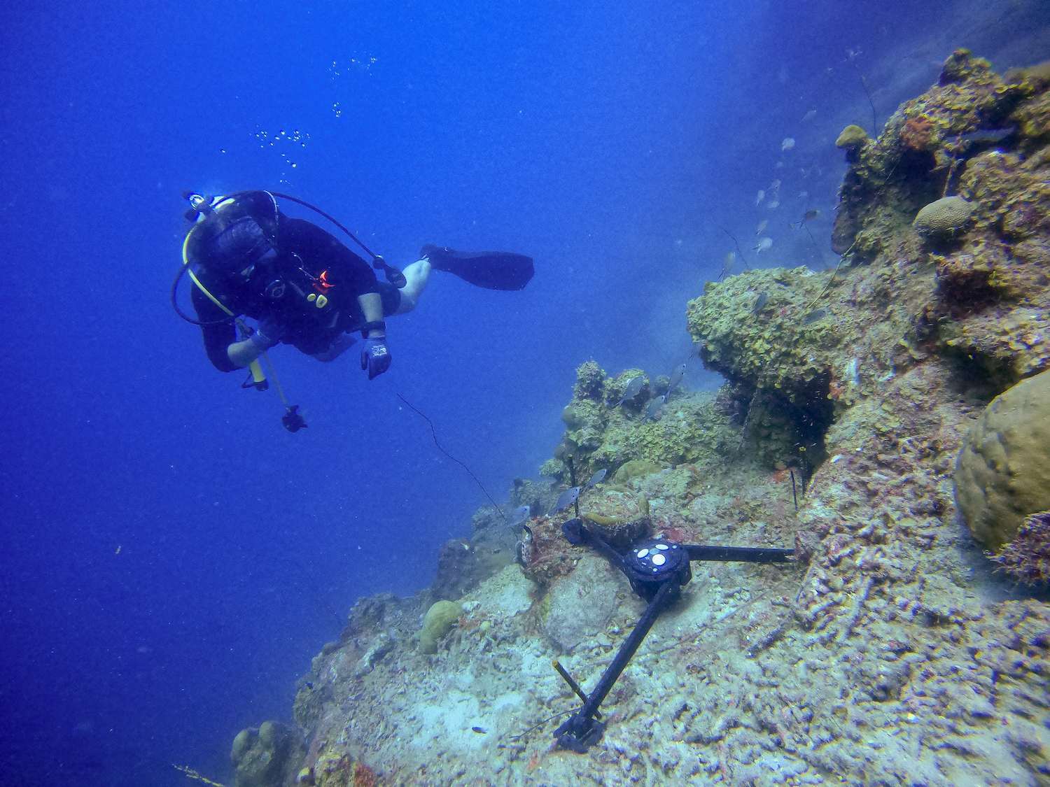 Nortek instrument under water