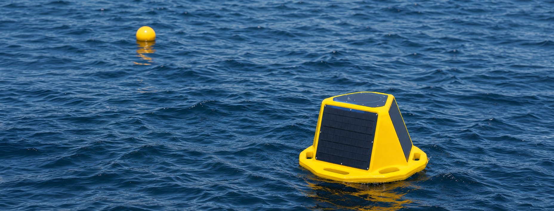 Nortek Marin buoy long