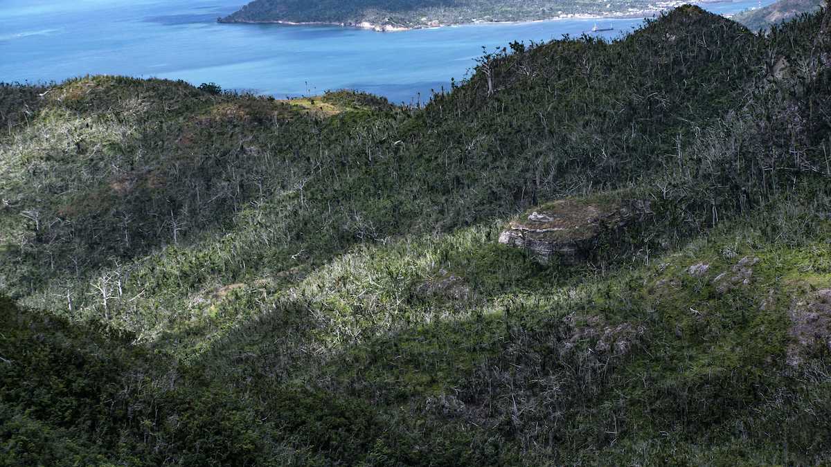 In 2020, a hurricane caused severe damage to the natural environment on the Colombian island of Providencia. Photo: Daryl Lung/CEMarin.