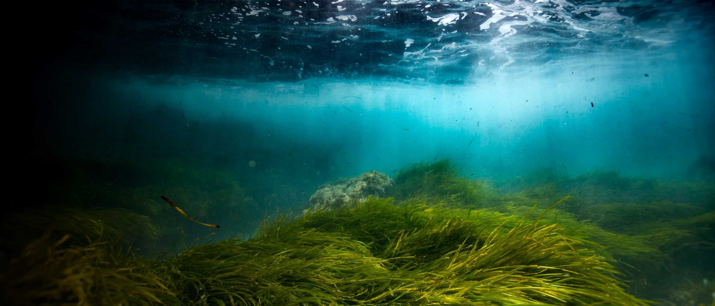 Underwater world image