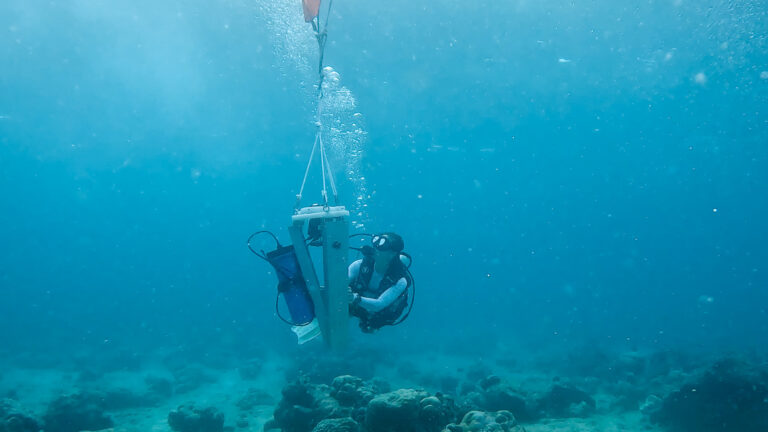 Nortek | [Webinar] Surface-wave measurements from below