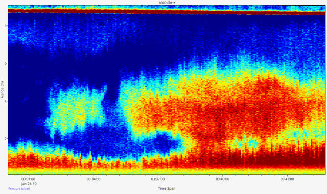 Time series of backscatter intensity of beam 1 of Signature1000, deployed in Ems-Dollart estuary at 9 m depth. Instrument is located on the seabed and is directed upwards. Vertical resolution is 20 cm and outliers are visible in a range of 80 cm near the surface.