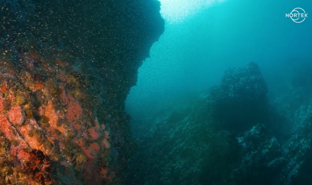 The Signature100 ADCP combines current and biomass measurements, giving unprecedented insight into ocean resources such as krill, zooplankton and schools of fish. The Signature100 ADCP combines current and biomass measurements, giving unprecedented insight into ocean resources such as krill, zooplankton and schools of fish.