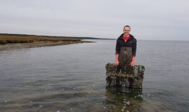 Undergraduate student Dan Bentley recovers an Aquadopp Profiler after the 2017 hurricane season deployment at Magothy Bay Natural Preserve, VA. (Credit: Mason Flood Hazards Research Lab.)