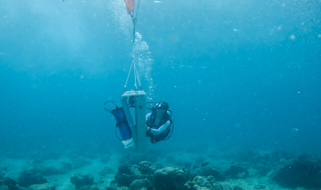 Gathering current and wave data for coastal protection engineering in the Maldives