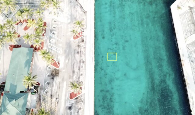 Identifying shallow-ocean currents in an unusual manta ray habitat with the Eco ADCP Identifying shallow-ocean currents in an unusual manta ray habitat with the Eco ADCP