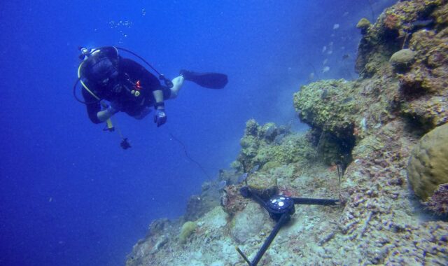 Building floating coral reef communities to promote reef conservation