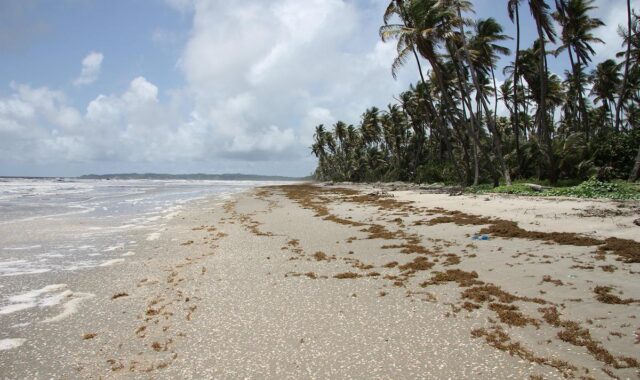 Long-range ADCP deployment supports offshore installations in Trinidad and Tobago Long-range ADCP deployment supports offshore installations in Trinidad and Tobago