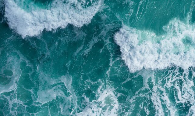 All bodies of water have waves. These may range from long waves, such as tides (caused by the gravitational force of the Sun and Moon), to tiny wavelets, generated by the wind’s drag on the water surface.