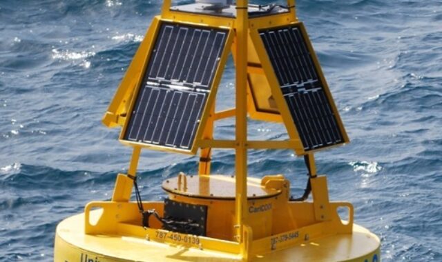 Real-time data on waves, currents and more in Puerto Rico