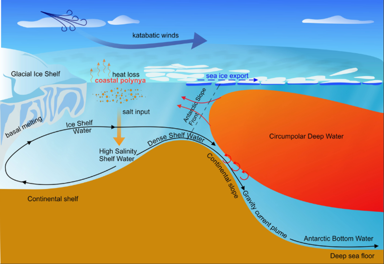 Antartica seabed current drawing