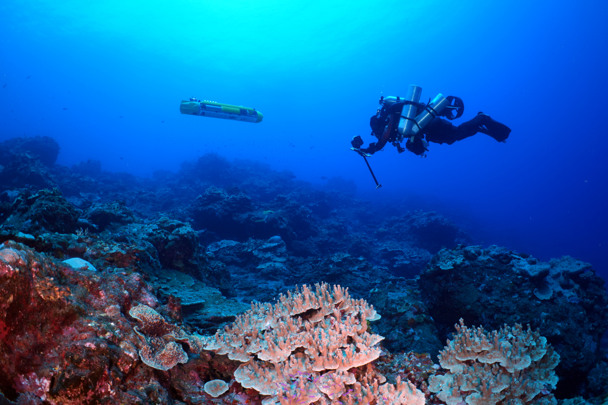 Auv human