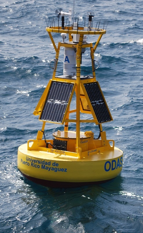 Image12
